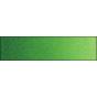 Old Holland Acquerello ExtrafineClassic Watercolours - verde brillante Old Holland | Bellearti.net