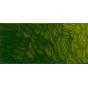 Old Holland New M Classic Acrylics - verde-oro Old Holland scuro | Bellearti.net