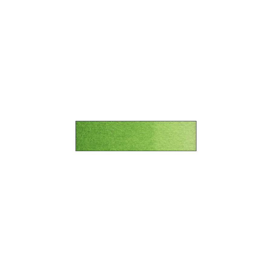 Old Holland Acquerello ExtrafineClassic Watercolours - verde cadmio chiaro | Bellearti.net