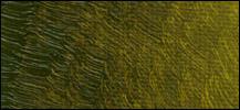 Old Holland Olio Extrafine - verde dorato Old Holland | Bellearti.net
