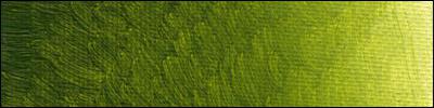 Old Holland Olio Extrafine - verde dorato Old Holland scuro | Bellearti.net