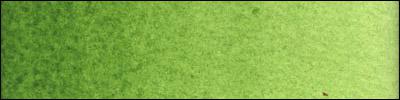 Old Holland Acquerello ExtrafineClassic Watercolours - verde cinabro scuro extra | Bellearti.net